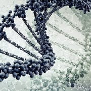 Digital Illustration of DNA