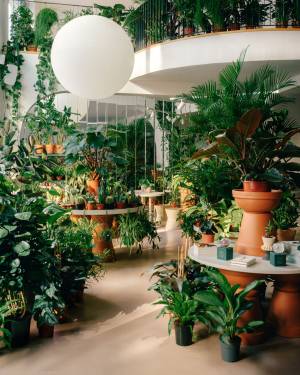 Calienna-Garden-1-Photo_JuliusHirtzberger Calienna-Garden